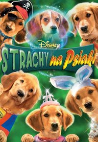 Plakat Filmu Strachy na psiaki (2011)